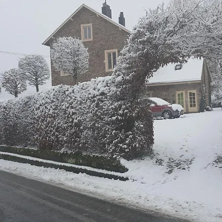 Alte Schule-studio *