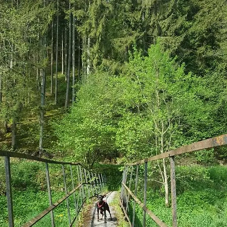 Alte Schule-studio * Alfersteg