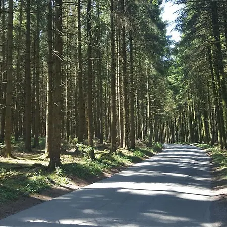 Appartement Alte Schule-studio