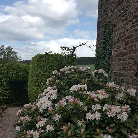 Lägenhet Alte Schule-studio