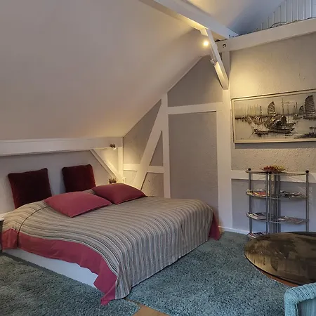 Alte Schule-studio Daire