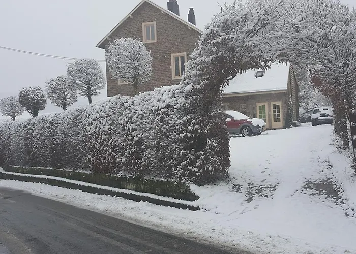 Alte Schule-studio *