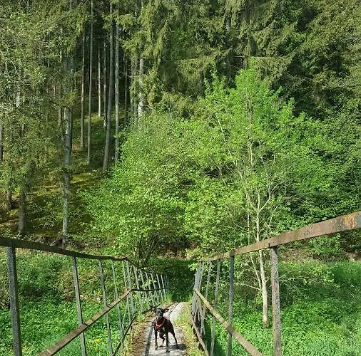 Alte Schule-studio * Alfersteg