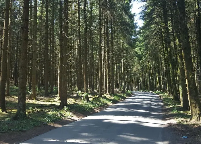 Appartamento Alte Schule-studio