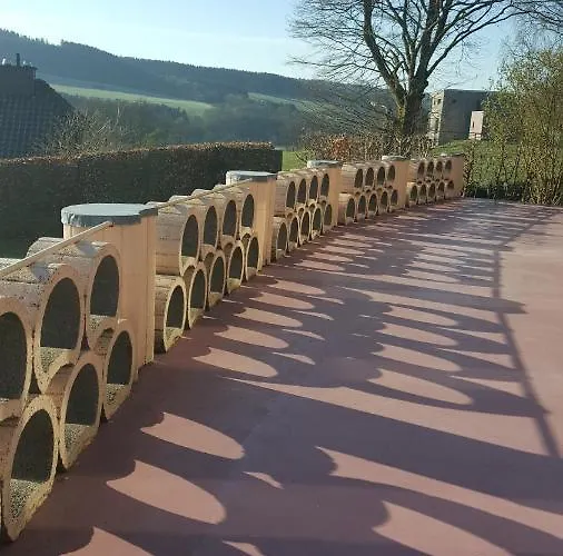 Daire Alte Schule-studio