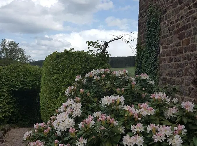 Daire Alte Schule-studio