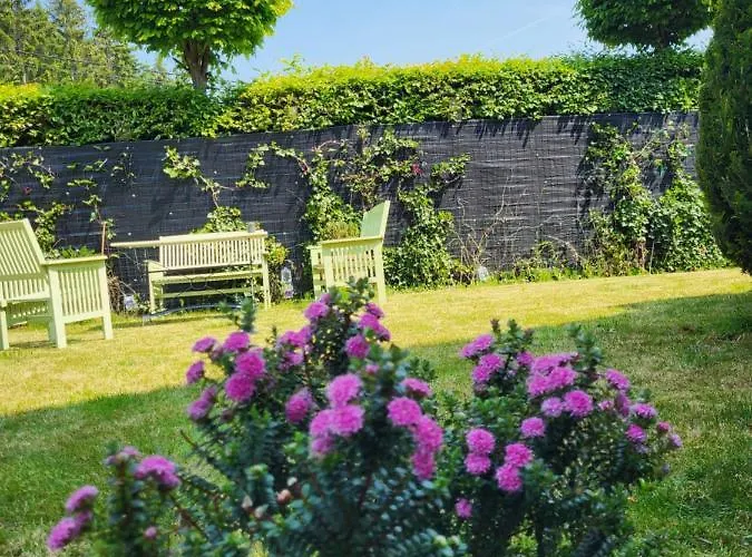 Alte Schule-studio Alfersteg