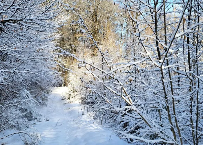 Alte Schule-studio Appartamento Alfersteg