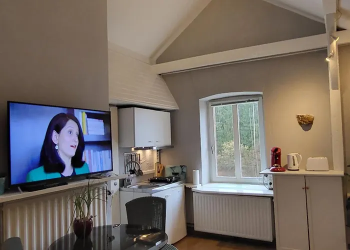 Alte Schule-studio Daire *